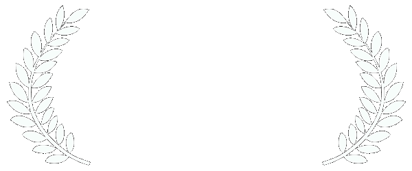 Nevada Film Festival Award